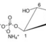 Merck 08:0 PI(3 4)P2