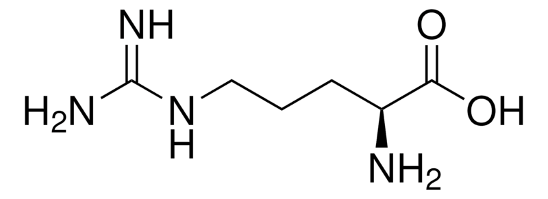Merck L-Arginine