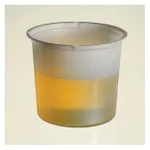 Thermo Fisher Scientific Graduated Polystyrene Beakers