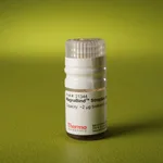 Thermo Fisher Scientific MagnaBind Streptavidin Beads