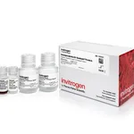 Thermo Fisher Scientific Dynabeads Protein A Immunoprecipitation Kit