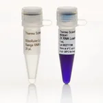Thermo Fisher Scientific RiboRuler Low Range RNA Ladder