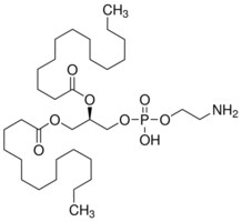 Merck L-A-PHOSPHATIDYLETHANOLAMINE,