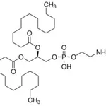Merck L-A-PHOSPHATIDYLETHANOLAMINE,