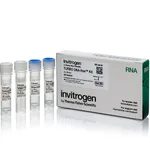 Thermo Fisher Scientific TURBO DNA-free Kit