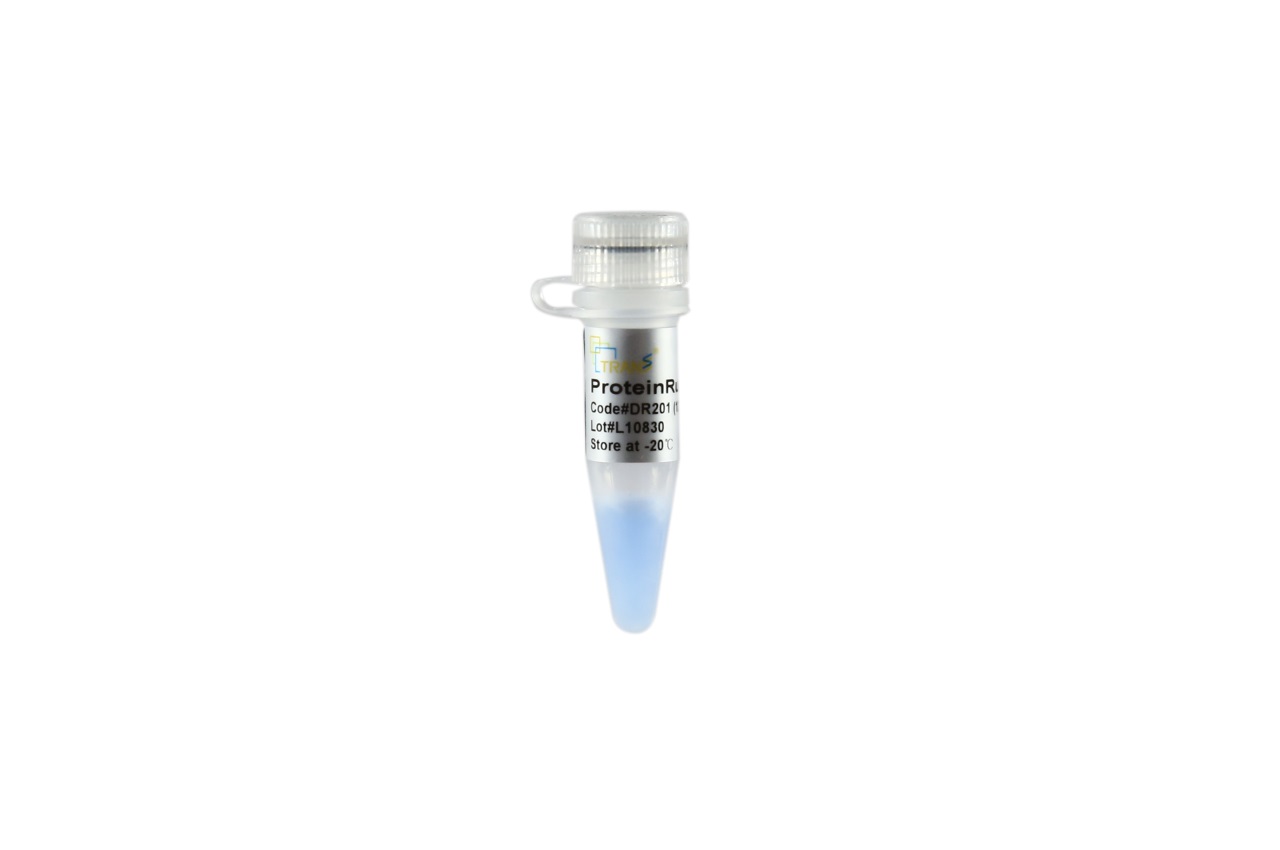 ProteinRuler® II (12-120 kDa)