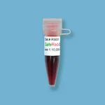 Kindle Biosciences SAFERED DNA/RNA AGAROSE GEL DYE