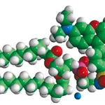 Merck 14:0 Liss Rhod PE