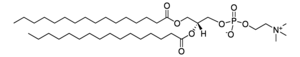 Merck 16:0 PC (DPPC)