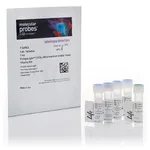 Thermo Fisher Scientific FungaLight Yeast CFDA, AM/Propidium Iodide Vitality Kit