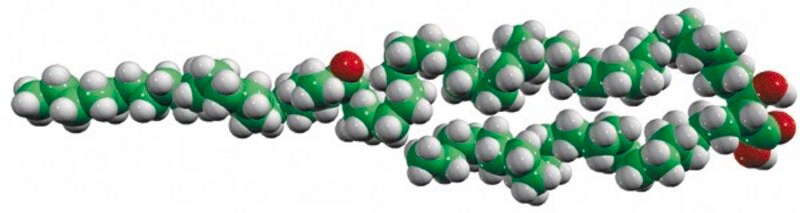 Merck alpha-mycolic acid, keto cis