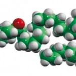 Merck alpha-mycolic acid, keto cis