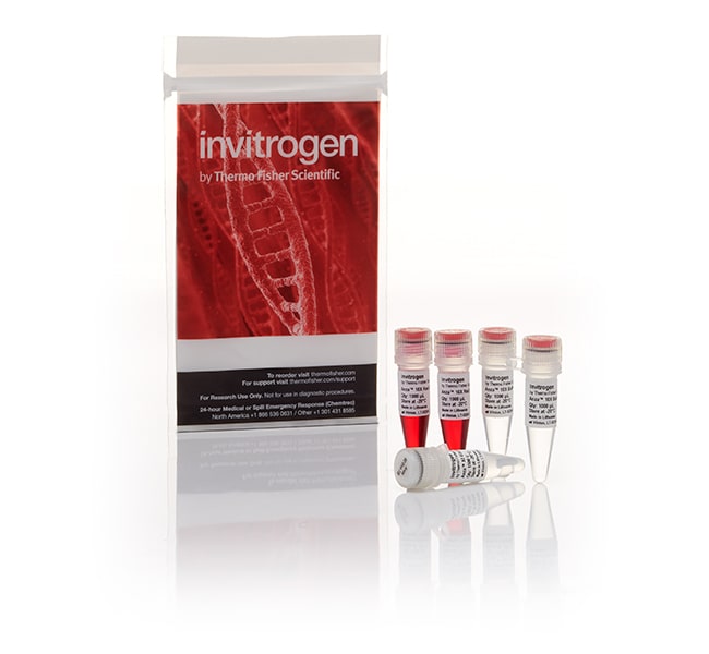 Thermo Fisher Scientific Anza 82 Eco72I