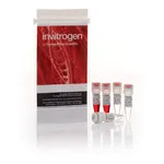 Thermo Fisher Scientific Anza 82 Eco72I