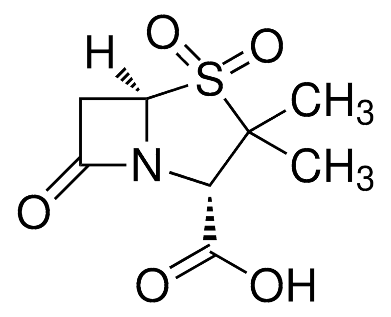 Merck Sulbactam