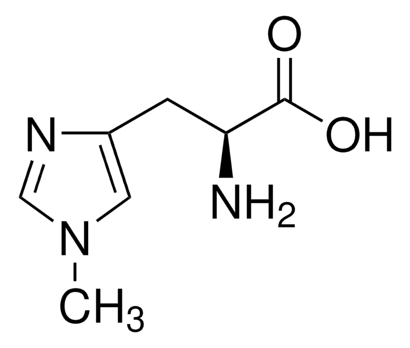 Merck 1-Methyl-L-histidine