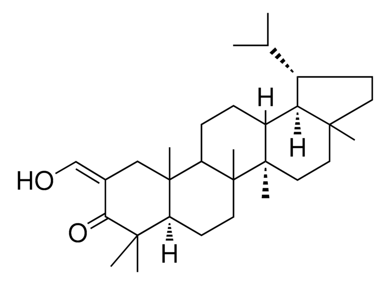 Merck 2-HYDROXYMETHYLENELUPAN-3-ONE - 1 MG