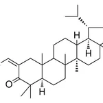 Merck 2-HYDROXYMETHYLENELUPAN-3-ONE - 1 MG