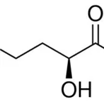 Merck (S)-(-)-4-AMINO-2-HYDROXYBUTYRIC ACID, &