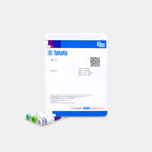Takara BglII restriction enzyme