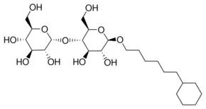 Merck 6-CYCLOHEXYLHEXYL B-D-MALTOSID&