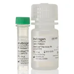 Thermo Fisher Scientific QuantiGene Sample Processing Kit, blood samples, 2 Plates