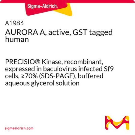 Merck AURORA A, active, GST tagged human