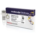 Thermo Fisher Scientific dNTP Mix (10 mM each), 0.2 mL