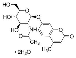 Merck 4-METHYLUMBELLIFERYL N-ACETYL-B-D-GLUCO&