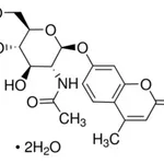 Merck 4-METHYLUMBELLIFERYL N-ACETYL-B-D-GLUCO&