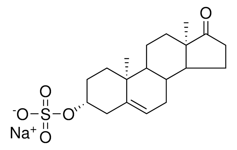 Merck Ent-DHEA sulfate