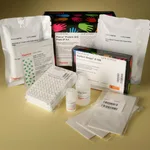 Thermo Fisher Scientific Pierce Protein A/G Coated Plate IP Kit