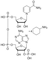 Merck B-NICOTINAMIDE ADENINE DINUCLEOTIDE PHOS