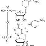 Merck B-NICOTINAMIDE ADENINE DINUCLEOTIDE PHOS