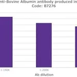 Merck RABBIT ANTI BOVINE SERUM ALBUMIN &