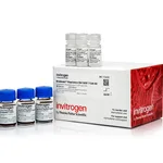 Thermo Fisher Scientific Dynabeads Regulatory CD4+/CD25+ T Cell Kit