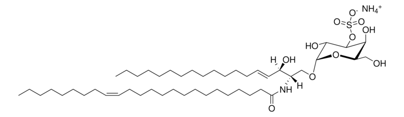 Merck C24:1 Mono-sulfo galactosyl (alpha) ceramide (d18:1/24:1)