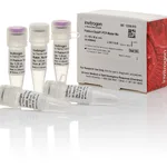 Thermo Fisher Scientific Platinum SuperFi PCR Master Mix, 100 reactions