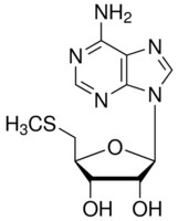 Merck 5``-DEOXY-5``-METHYLTHIOADENOSINE