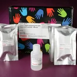Thermo Fisher Scientific Pierce Rapid Antibody Isotyping Kit plus Kappa and Lambda - Mouse