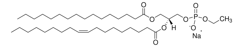 Merck 16:0-18:1 Phosphatidylethanol