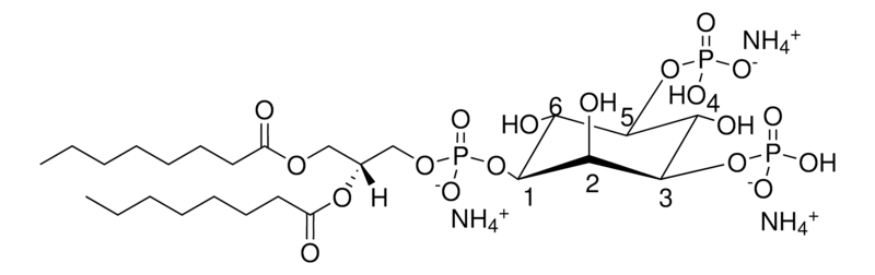 Merck 08:0 PI(3,5)P2
