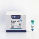 BANDIO 5X Sample buffer (DTT)