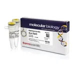 Thermo Fisher Scientific BcuI (SpeI) (10 U/μL), 400 units