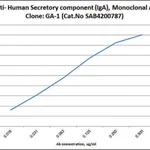 Merck Anti-Secretory Component (IgA) antibody, Mouse monoclonal