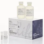 Thermo Fisher Scientific MagMAX Cell-Free DNA Isolation Kit