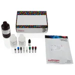 Thermo Fisher Scientific eBioscience Immune Response T Cell Receptor Signaling Kit