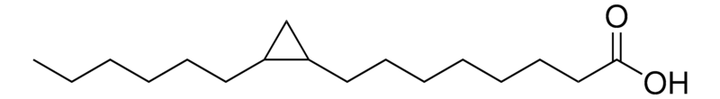Merck 17:0 cyclo acid