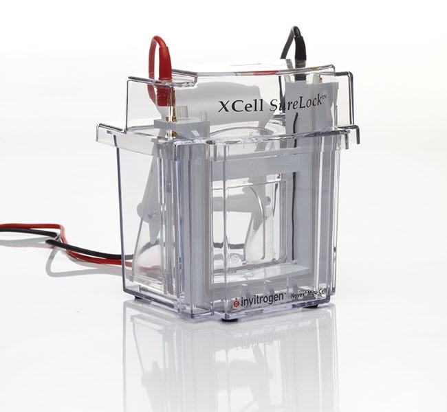 Thermo Fisher Scientific XCell SureLock Mini-Cell