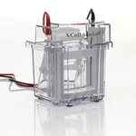 Thermo Fisher Scientific XCell SureLock Mini-Cell